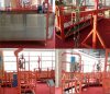 Sales steel wire rope suspended platform