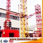 Hoist Made in China by Success Qtz6024 Crane